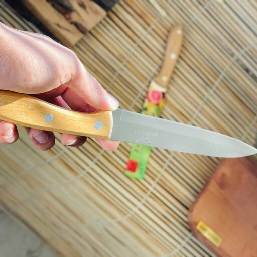 چاقو میوهخوری مدل Fruit Knife | تیغه استیل ضدزنگ و دسته چوبی