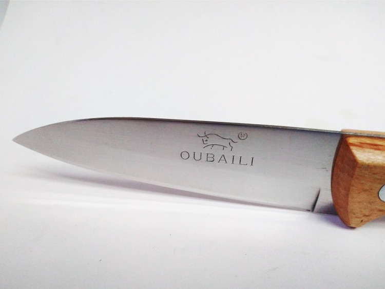 چاقو میوهخوری مدل Fruit Knife | تیغه استیل ضدزنگ و دسته چوبی