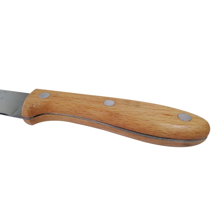 چاقو میوهخوری مدل Fruit Knife | تیغه استیل ضدزنگ و دسته چوبی
