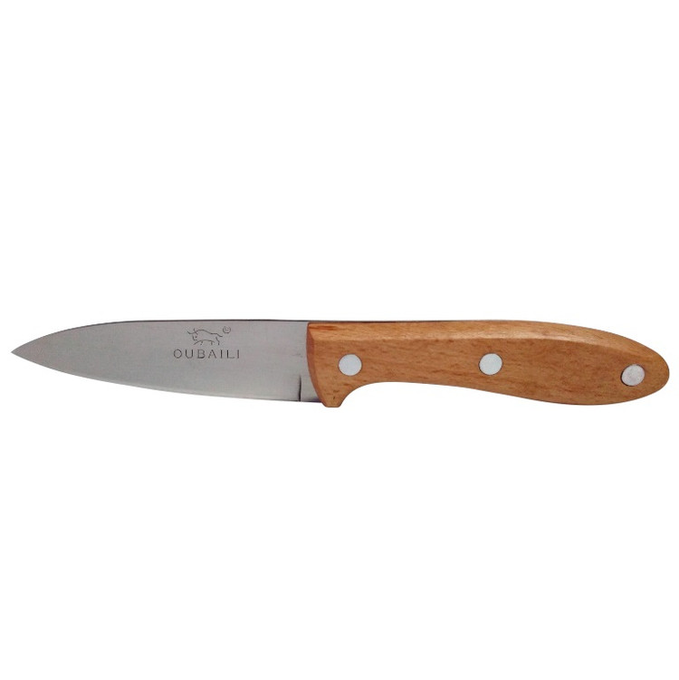 چاقو میوهخوری مدل Fruit Knife | تیغه استیل ضدزنگ و دسته چوبی