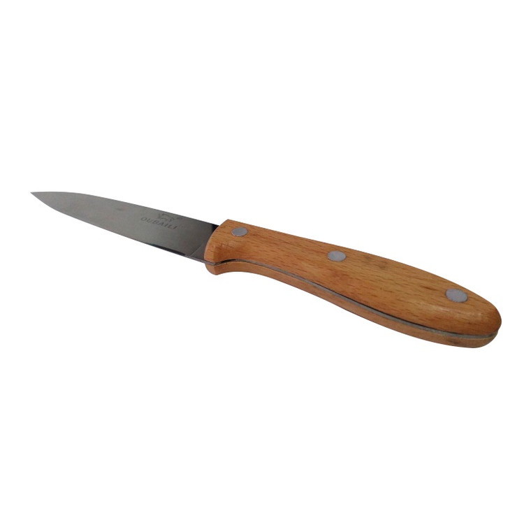 چاقو میوهخوری مدل Fruit Knife | تیغه استیل ضدزنگ و دسته چوبی